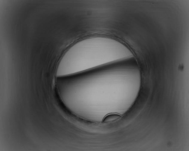 X0000101960028200807180713