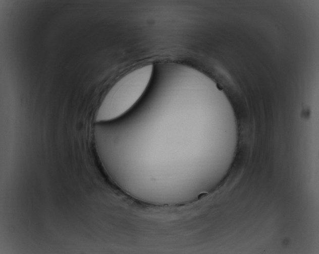 X0000101960029200807180713