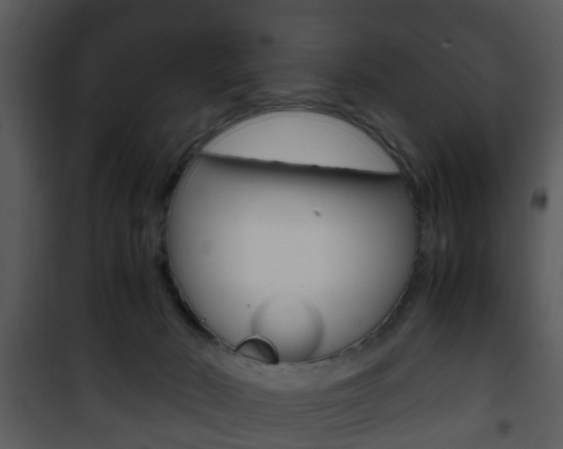 X0000101960030200807180713