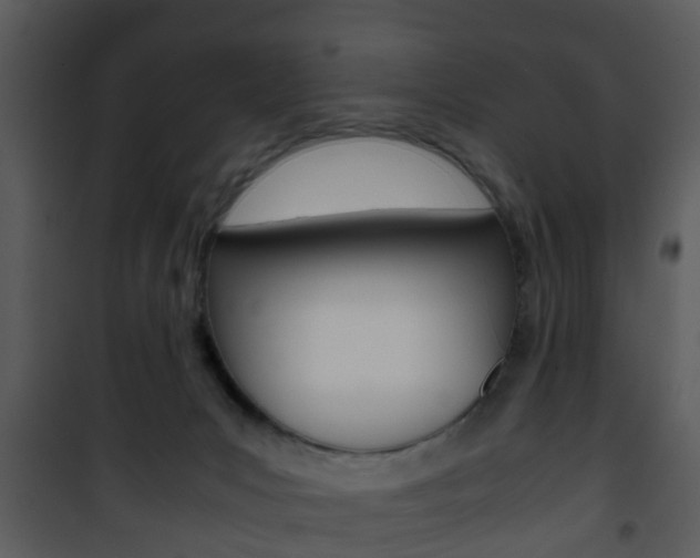 X0000101960031200807180713