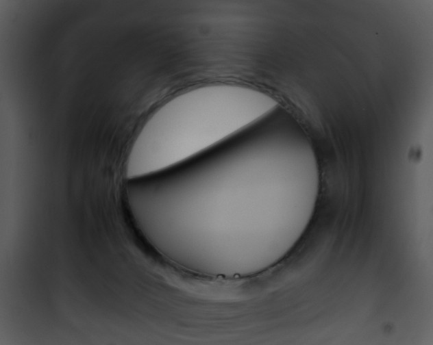 X0000101960032200807180713