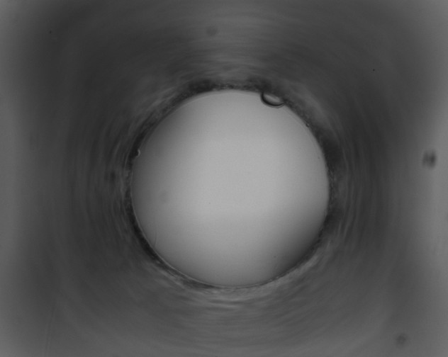 X0000101960033200807180713