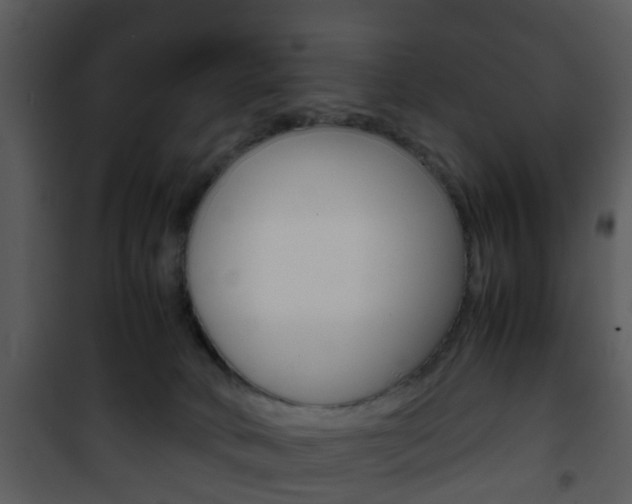 X0000101960034200807180713
