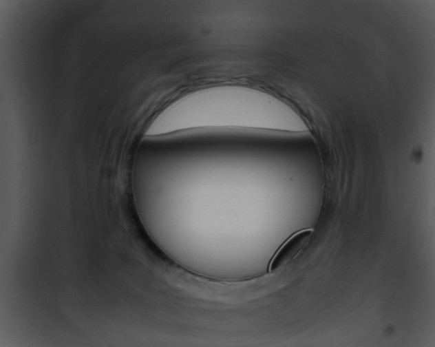 X0000101960035200807180713
