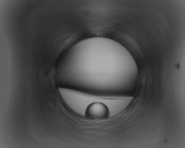X0000101960036200807180713