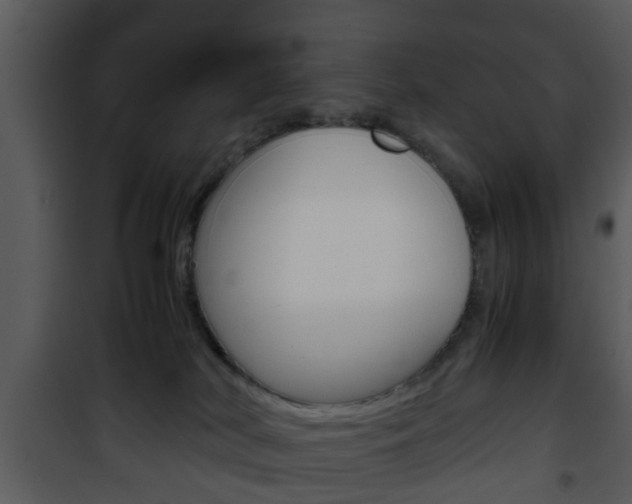X0000101960038200807180713