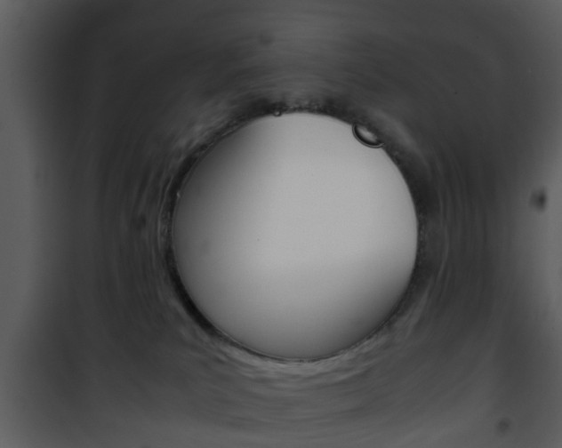 X0000101960039200807180713