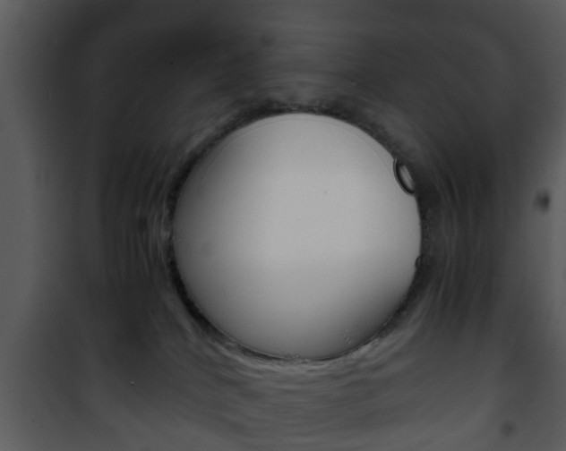 X0000101960040200807180713