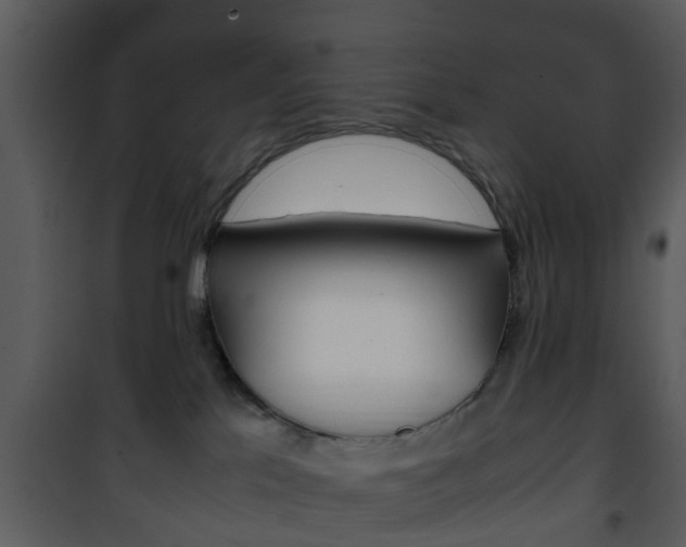 X0000101960041200807180713