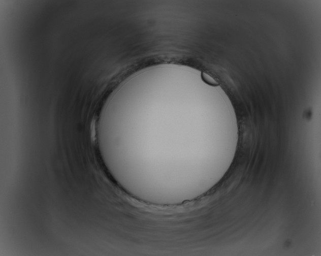 X0000101960042200807180713