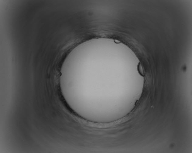 X0000101960043200807180713