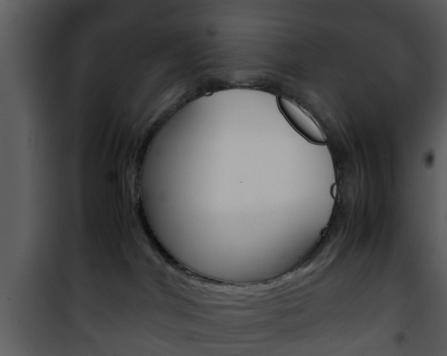 X0000101960044200807180713