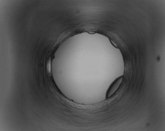 X0000101960046200807180712