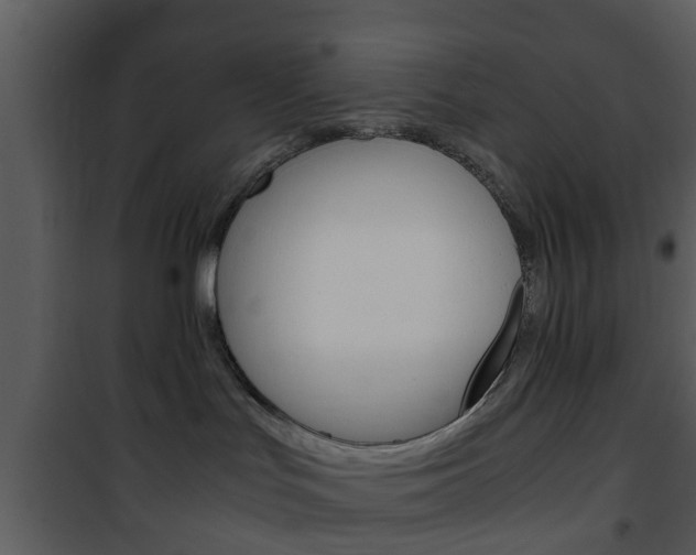 X0000101960047200807180712