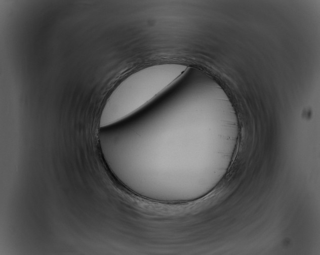X0000101960048200807180712