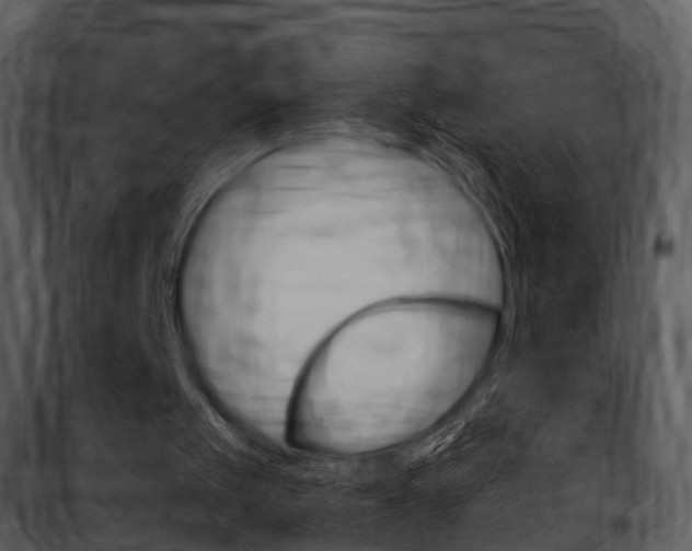 X0000101960049200807180712