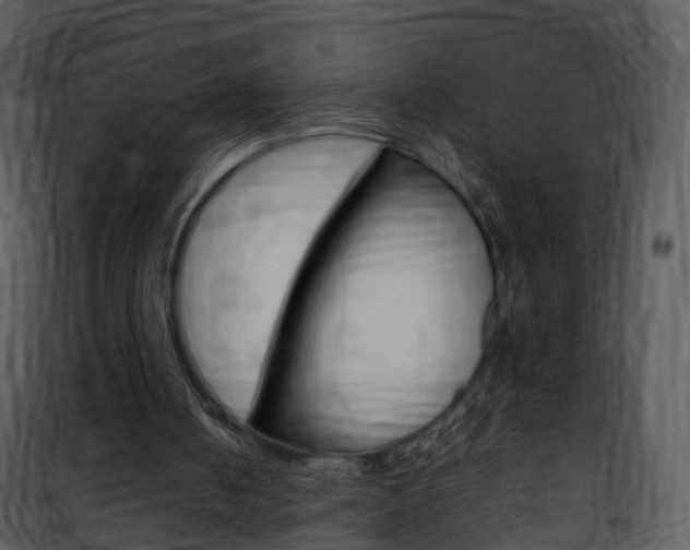 X0000101960050200807180712