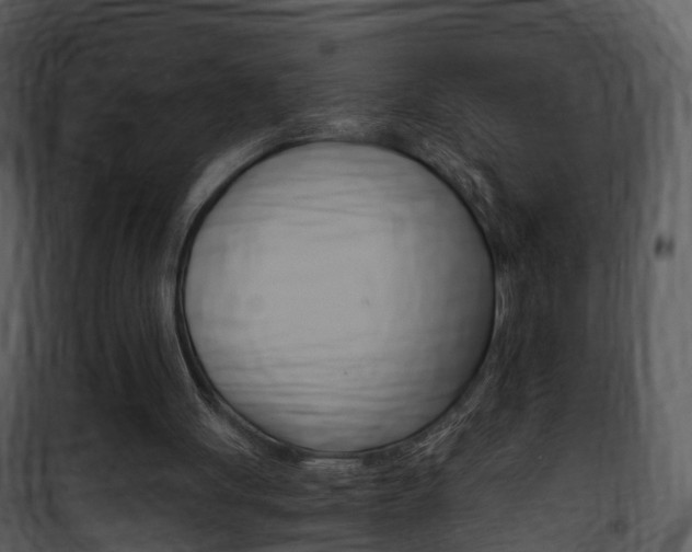 X0000101960051200807180712