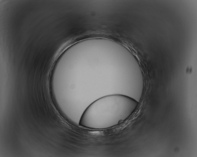 X0000101960053200807180712
