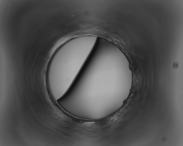 X0000101960054200807180712