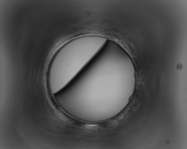 X0000101960055200807180712