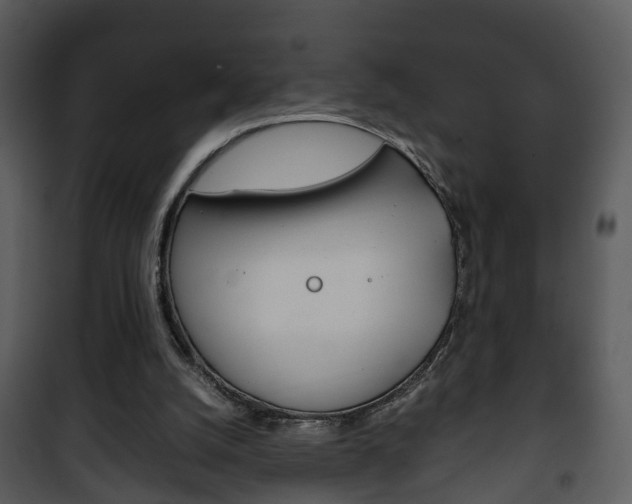 X0000101960056200807180712