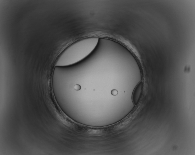 X0000101960057200807180712