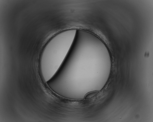 X0000101960058200807180712