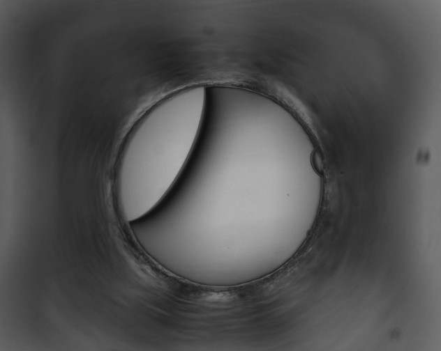 X0000101960059200807180712