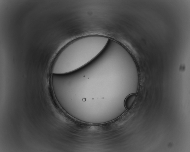 X0000101960060200807180712