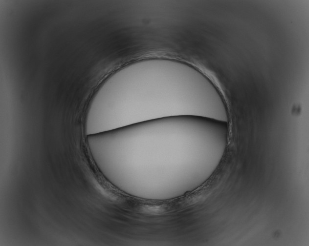 X0000101960061200807180712