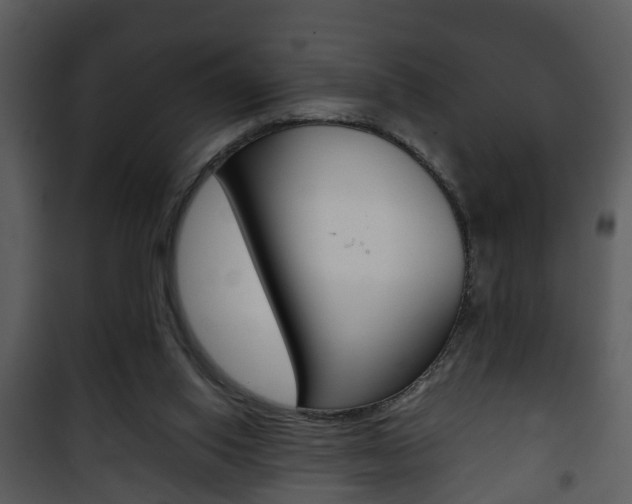 X0000101960062200807180712