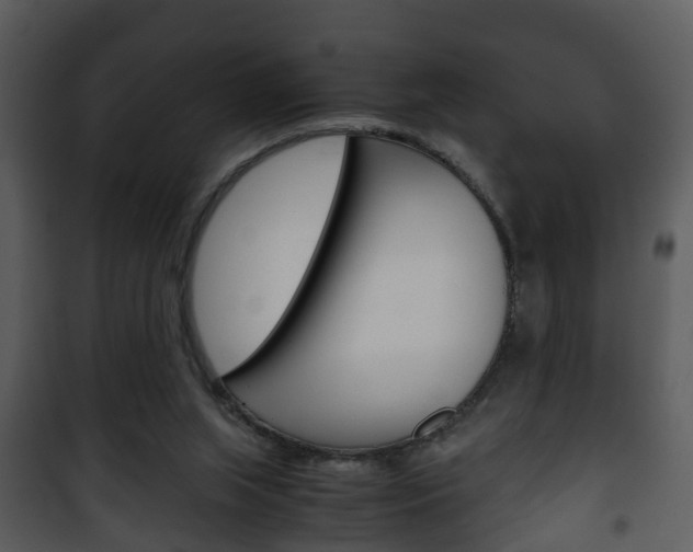 X0000101960063200807180712