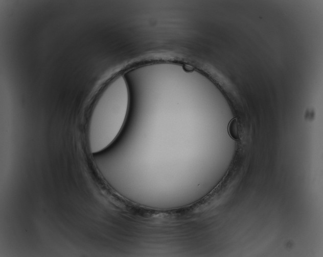 X0000101960064200807180712