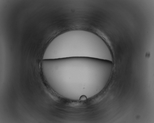 X0000101960065200807180712