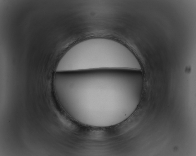 X0000101960066200807180712