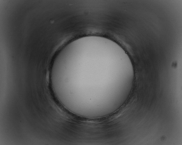 X0000101960067200807180712