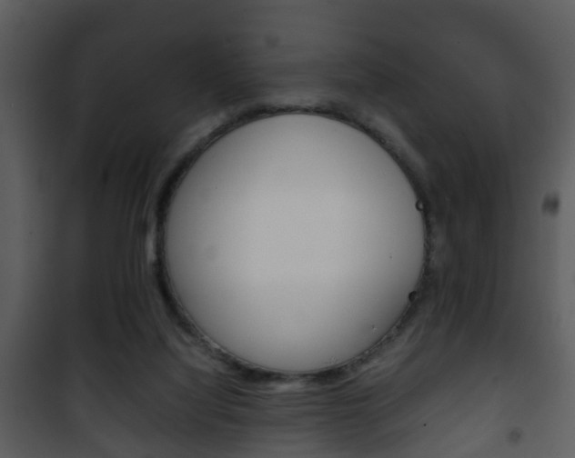 X0000101960068200807180712