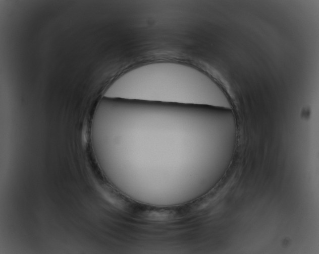 X0000101960069200807180712