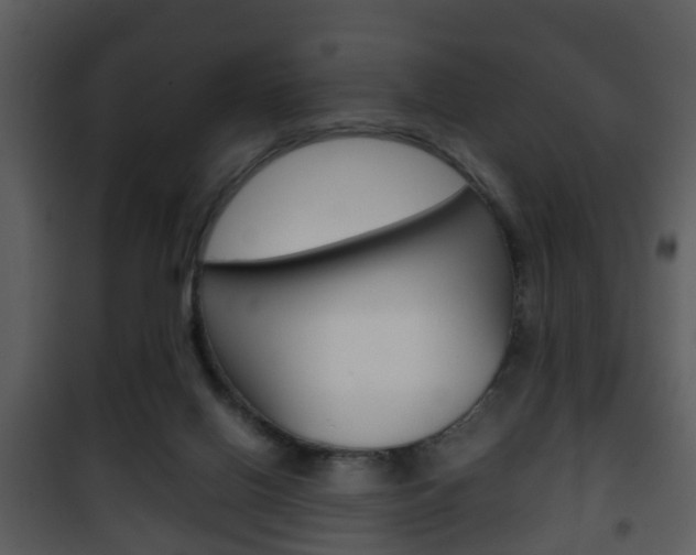 X0000101960070200807180712
