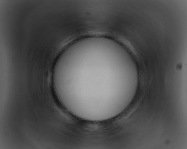 X0000101960071200807180712