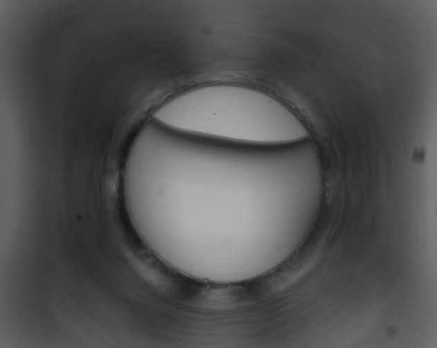 X0000101960072200807180712