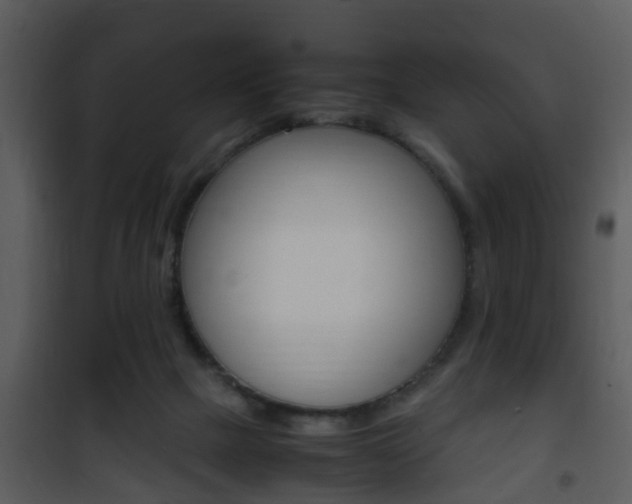 X0000101960073200807180712