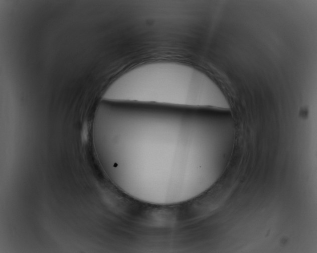 X0000101960075200807180712