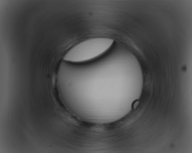 X0000101960076200807180712