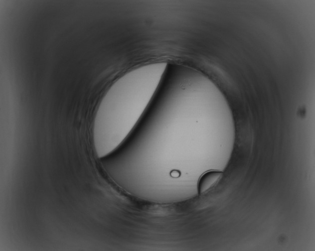 X0000101960077200807180712