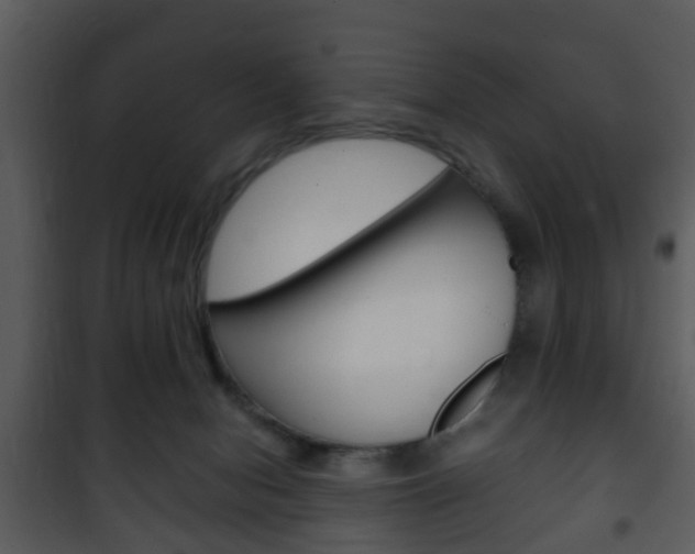 X0000101960078200807180712