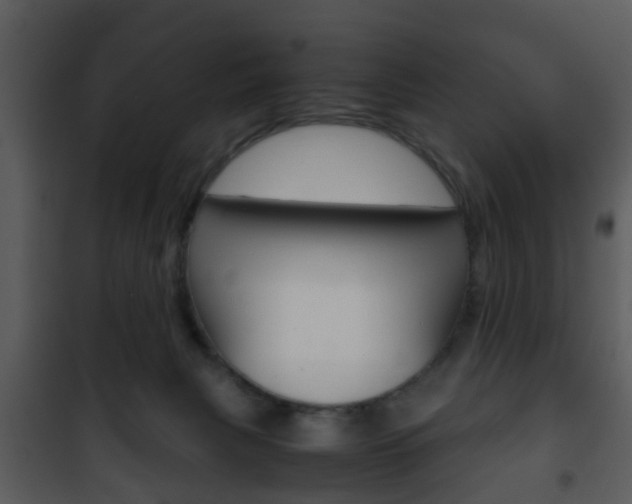 X0000101960079200807180712