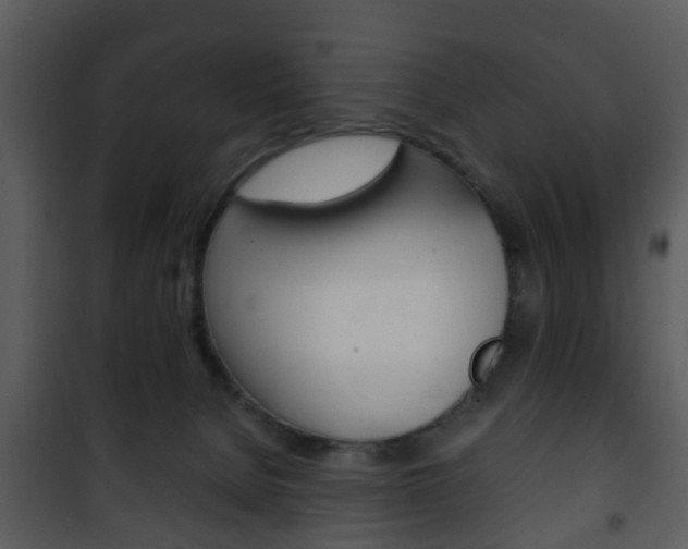 X0000101960080200807180712