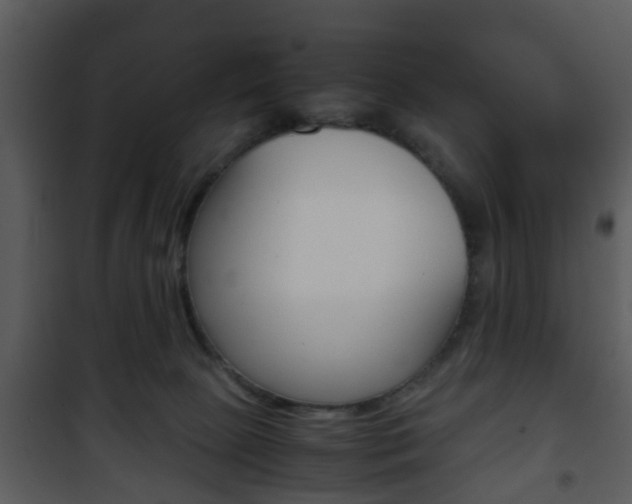 X0000101960081200807180712